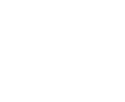 light logo